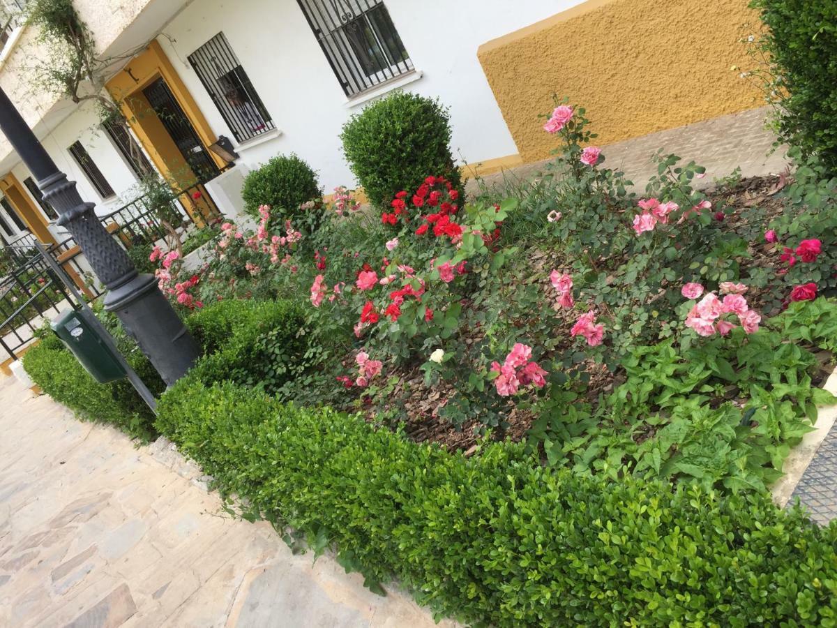 Panoramic City Center Flat In Arroyo De La Miel Apartman Kültér fotó